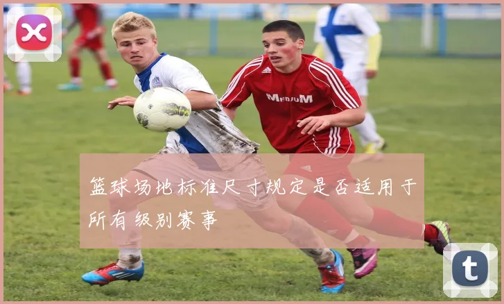 篮球场地标准尺寸规定是否适用于所有级别赛事