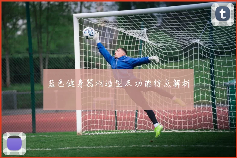 蓝色健身器材造型及功能特点解析