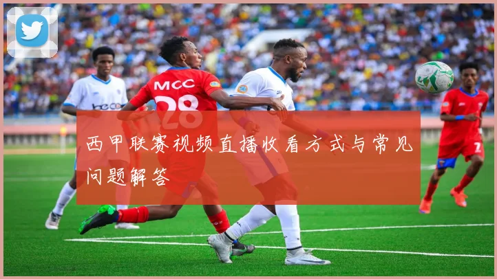 西甲联赛视频直播收看方式与常见问题解答