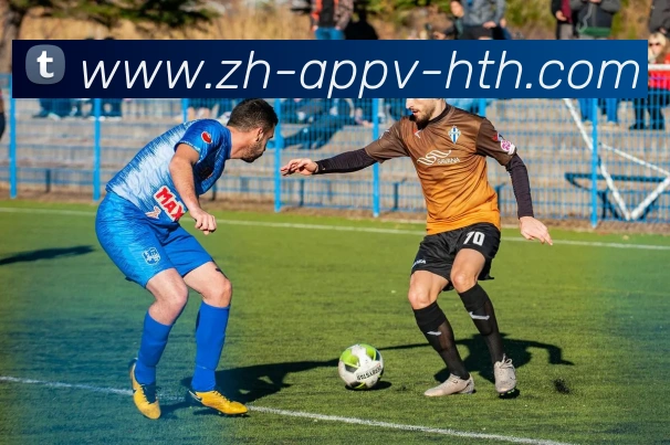 华体会网页版登录入口平台生态图